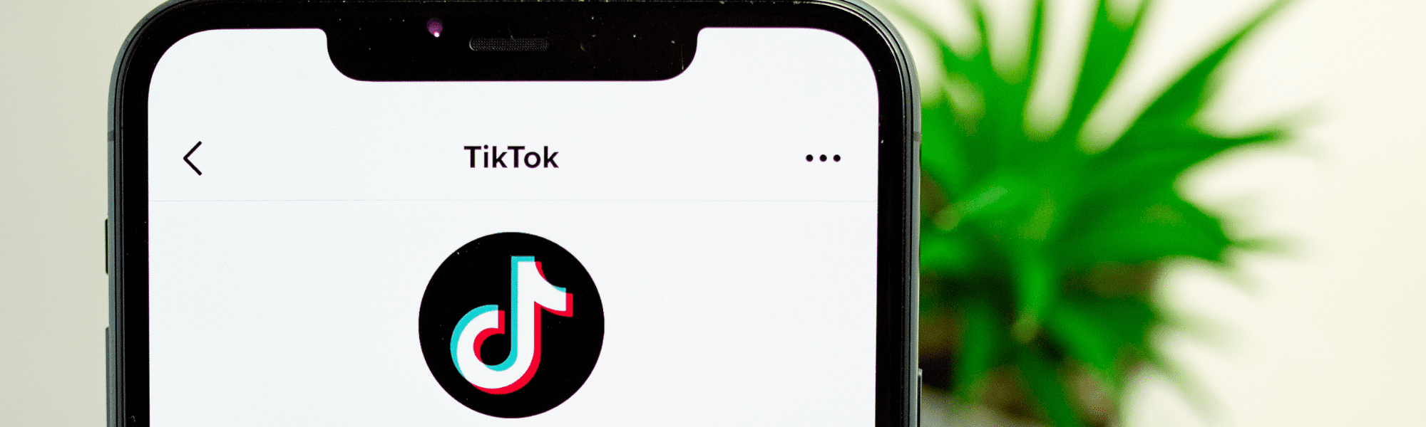 Want to use TikTok to grow your business Heres how
