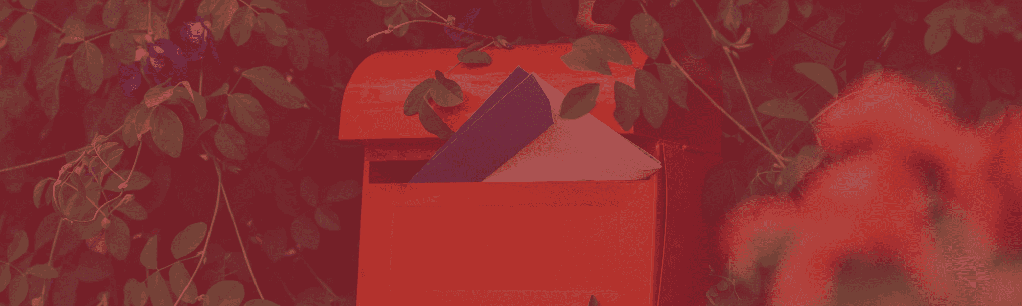 How You Can Re engage Customers with Email Newsletters Fan the Flames Marketing and Design