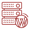 wordpress website